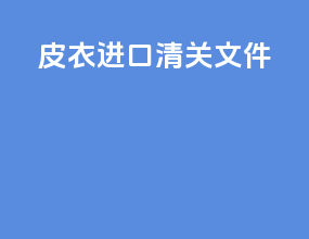 皮衣进口清关文件