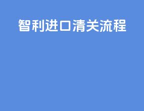 智利进口清关流程