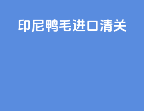 印尼鸭毛进口清关