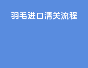 羽毛进口清关流程