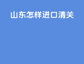 山东怎样进口清关