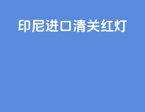 印尼进口清关红灯