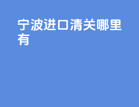 宁波进口清关哪里有