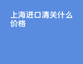 上海进口清关什么价格