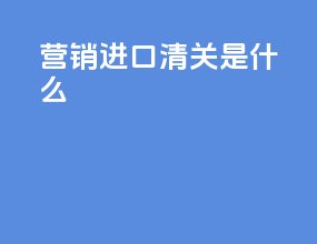 营销进口清关是什么
