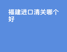 福建进口清关哪个好
