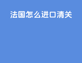法国怎么进口清关