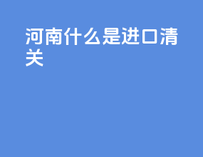 河南什么是进口清关