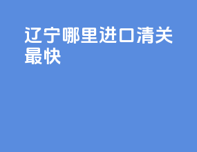 辽宁哪里进口清关最快