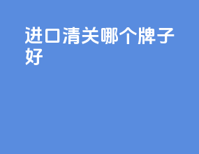 进口清关哪个牌子好