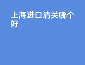 上海进口清关哪个好