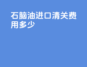 石脑油进口清关费用多少