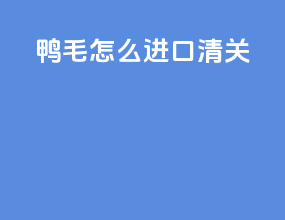 鸭毛怎么进口清关