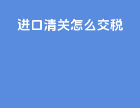 dap进口清关怎么交税