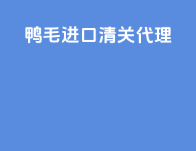 鸭毛进口清关代理