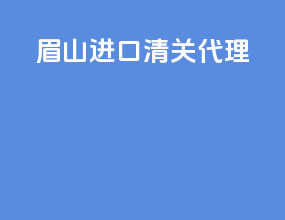 眉山进口清关代理