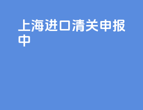 上海进口清关申报中