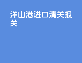 洋山港进口清关报关
