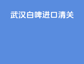 武汉白啤进口清关