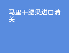马里干腰果进口清关