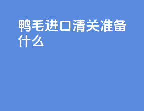鸭毛进口清关准备什么
