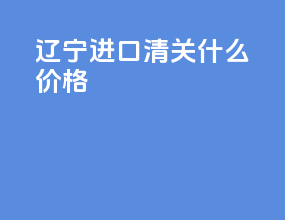 辽宁进口清关什么价格