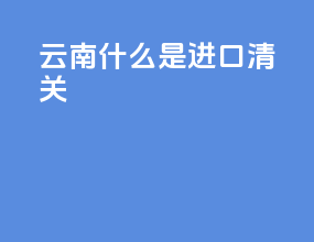 云南什么是进口清关