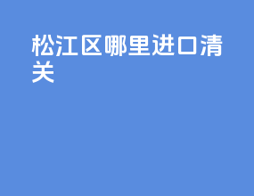 松江区哪里进口清关