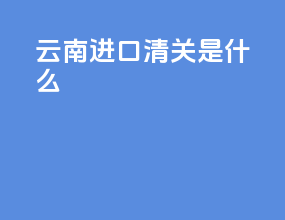云南进口清关是什么