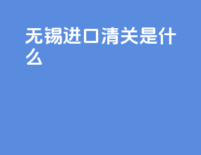 无锡进口清关是什么