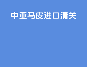 中亚马皮进口清关