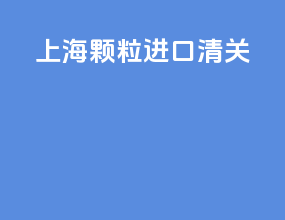 上海颗粒进口清关