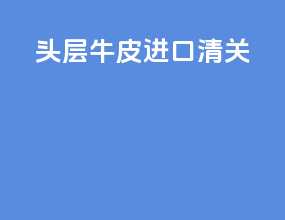 头层牛皮进口清关