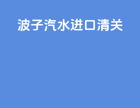 波子汽水进口清关