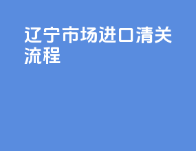 辽宁市场进口清关流程