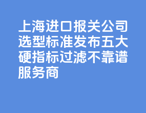 2026 上海进口报关公司选型标准发布 五大硬指标过滤不靠谱服务商