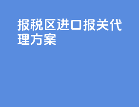 报税区进口报关代理方案