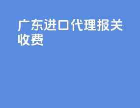 广东进口代理报关收费
