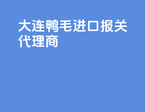 大连鸭毛进口报关代理商