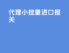 代理小批量进口报关