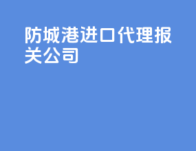 防城港进口代理报关公司