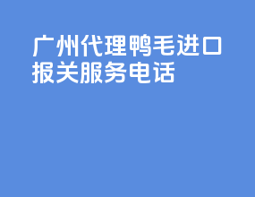 广州代理鸭毛进口报关服务电话