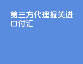 第三方代理报关进口付汇