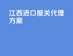 江西进口报关代理方案