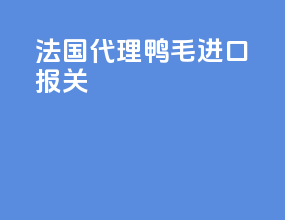 法国代理鸭毛进口报关