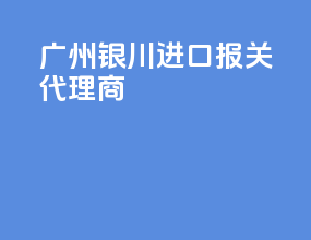 广州银川进口报关代理商