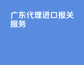 广东代理进口报关服务