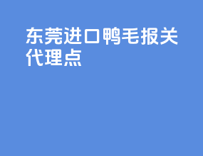 东莞进口鸭毛报关代理点