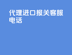 代理进口报关客服电话