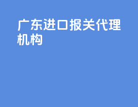 广东进口报关代理机构